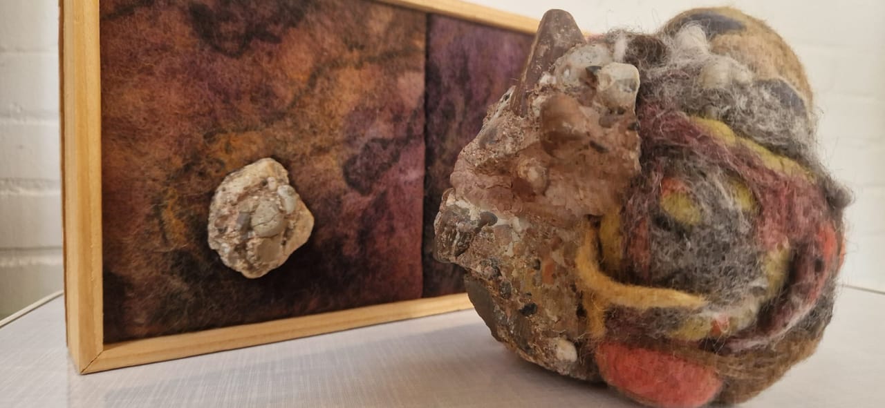 Micro / Macro in her work, Lecture by Heidi Ochsner