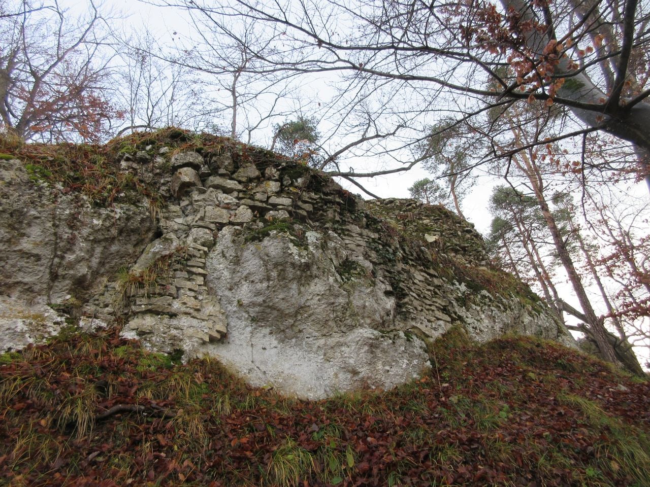 Ruine Hintere Birseck