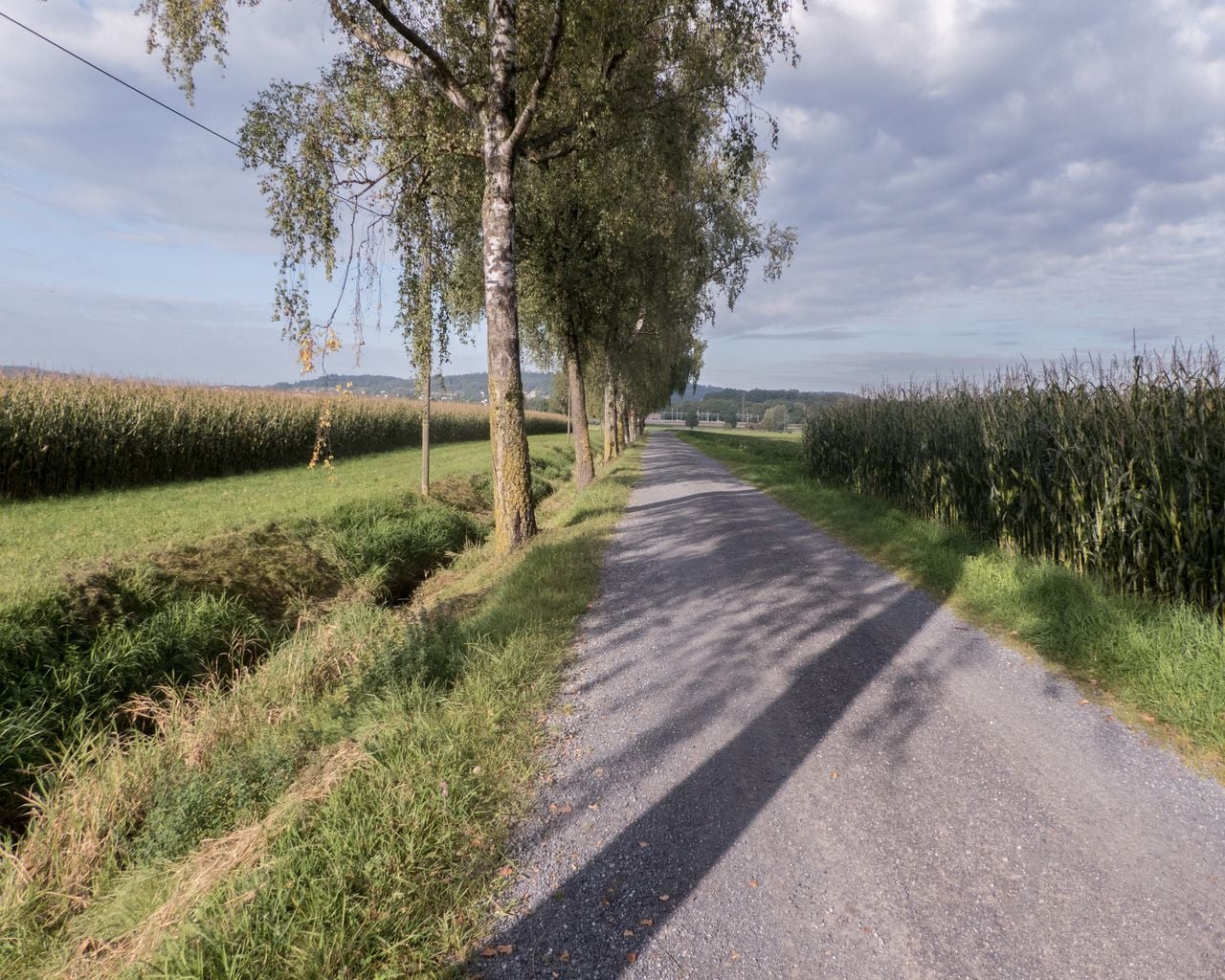 Studenland-Töss-Römer-Route