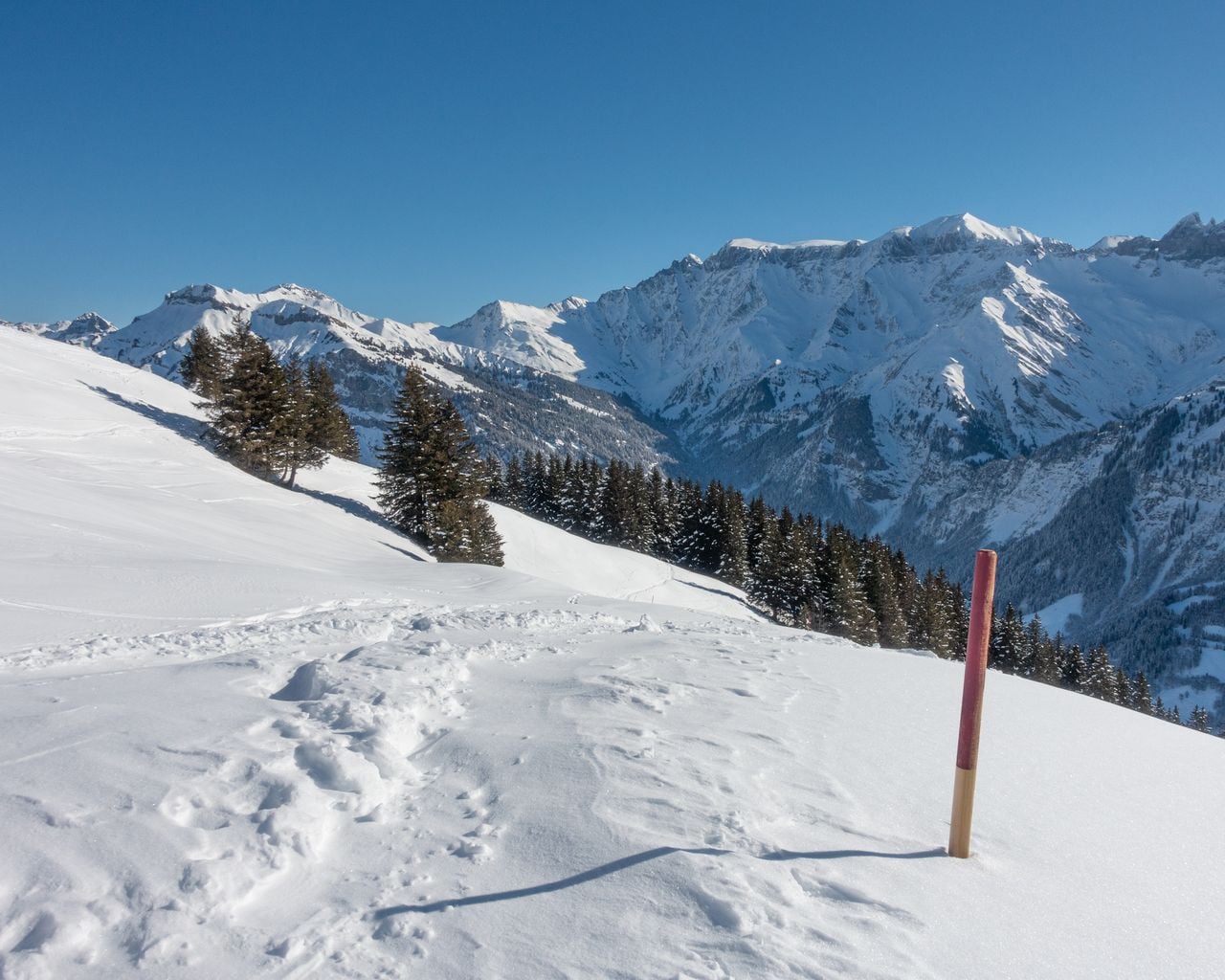 Schneeschuhtrail Bischofalp