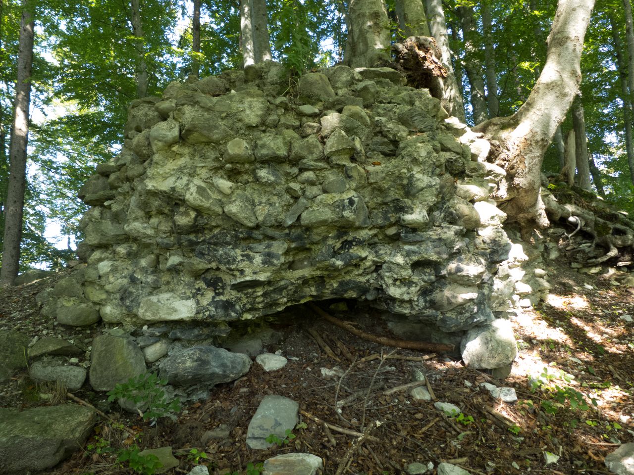 Ruine Festi