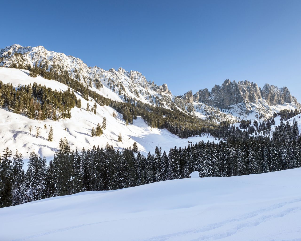 Oberbach Trail