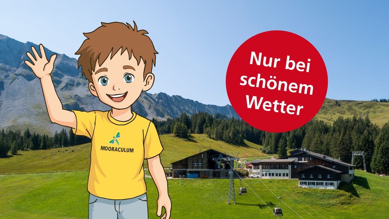 Söppli is visiting Rossweid
