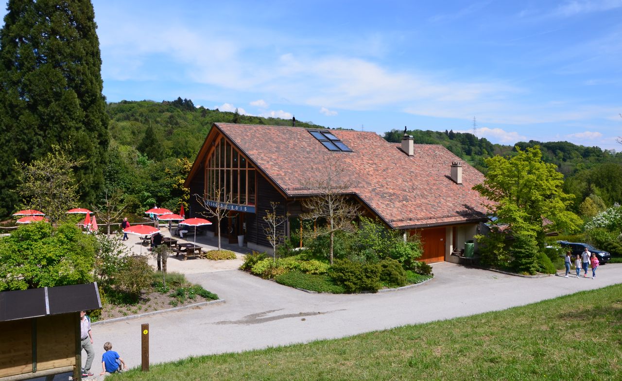 Musée du Bois