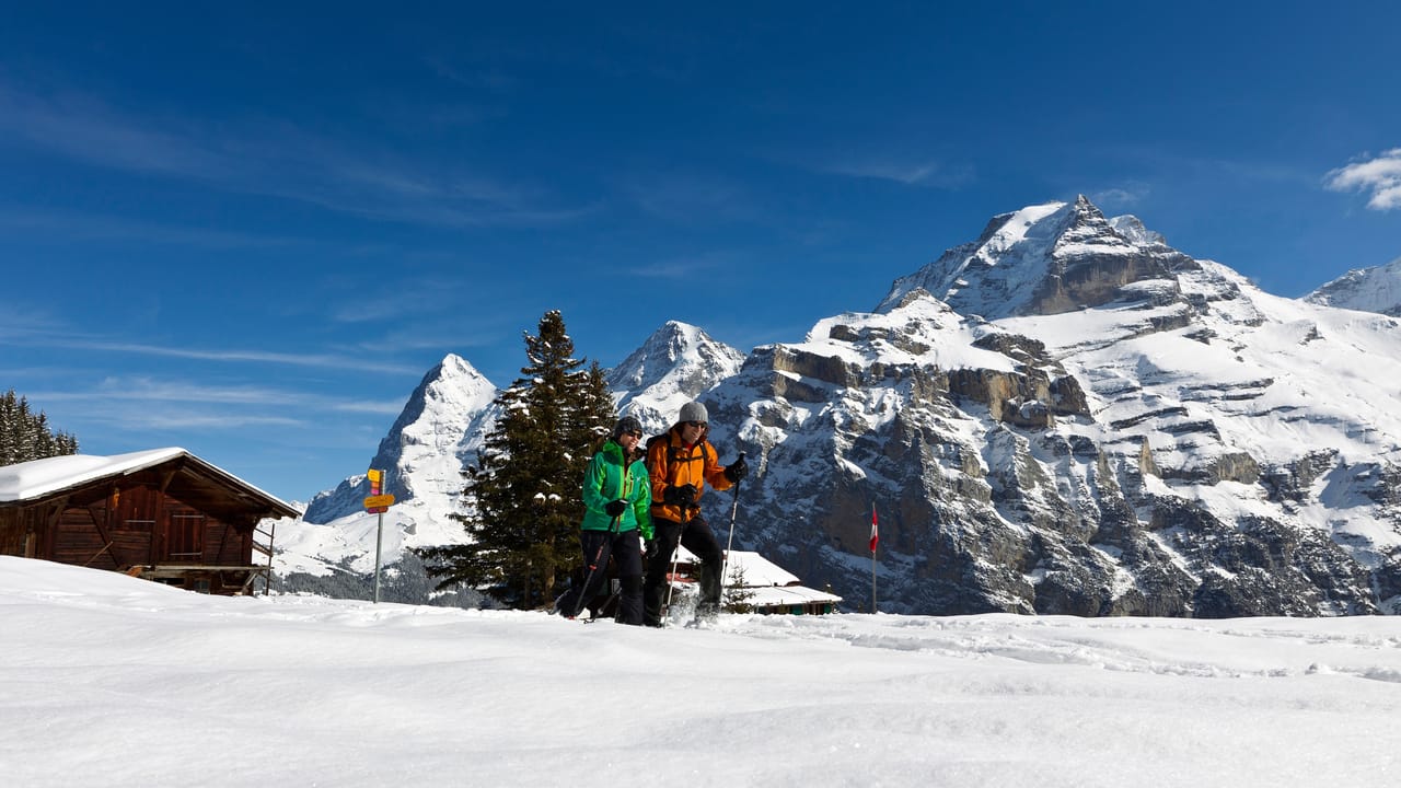 Chänelegg Trail
