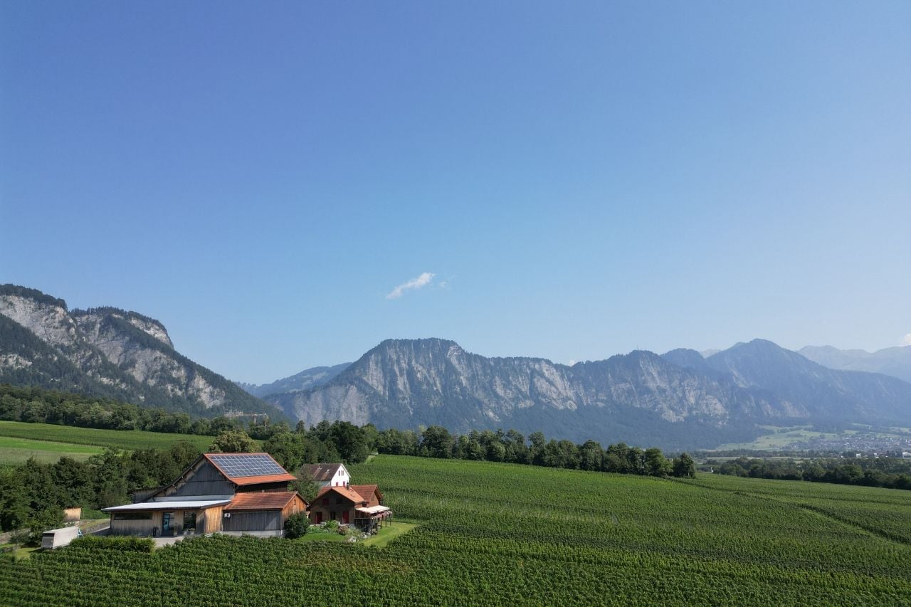 Liesch Weine AG, Ueli & Jürg Liesch