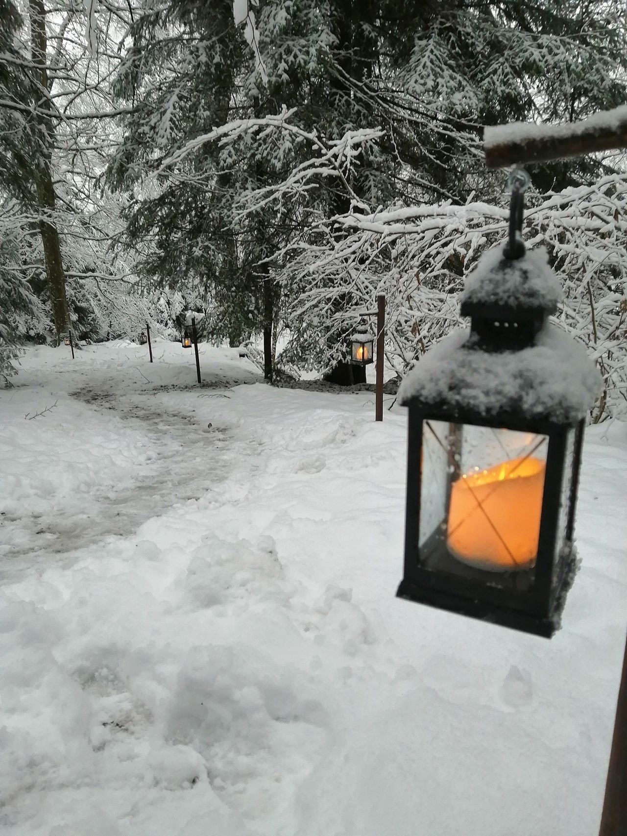 Advent Trail Zofingen 2026