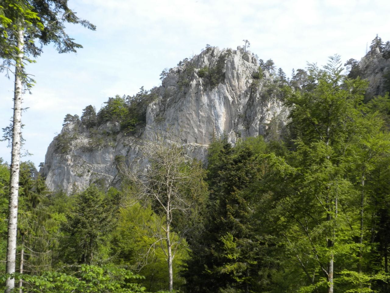 Ruine de Spiegelberg