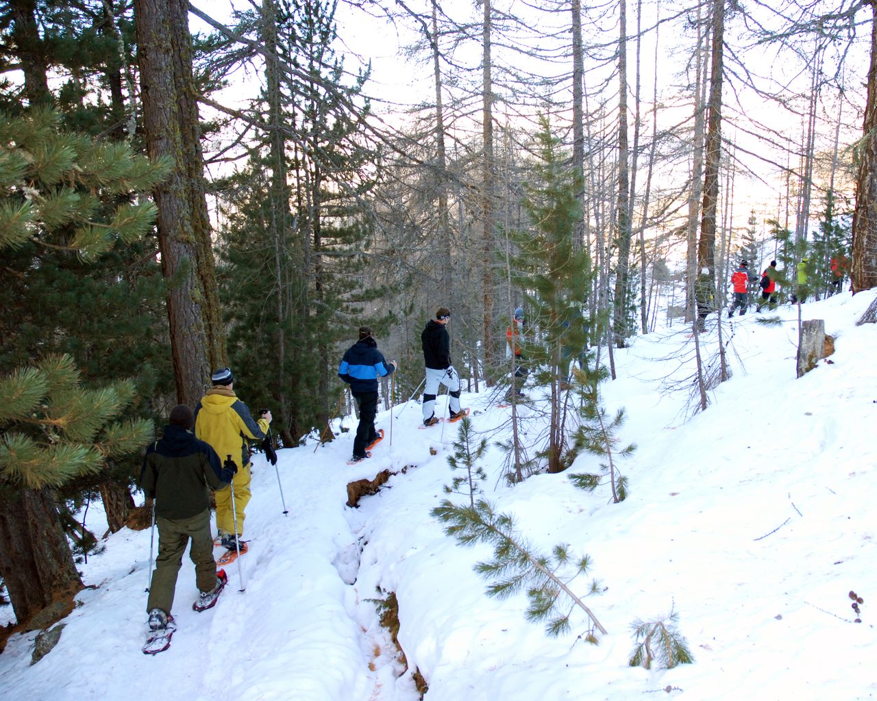Gspon Trail