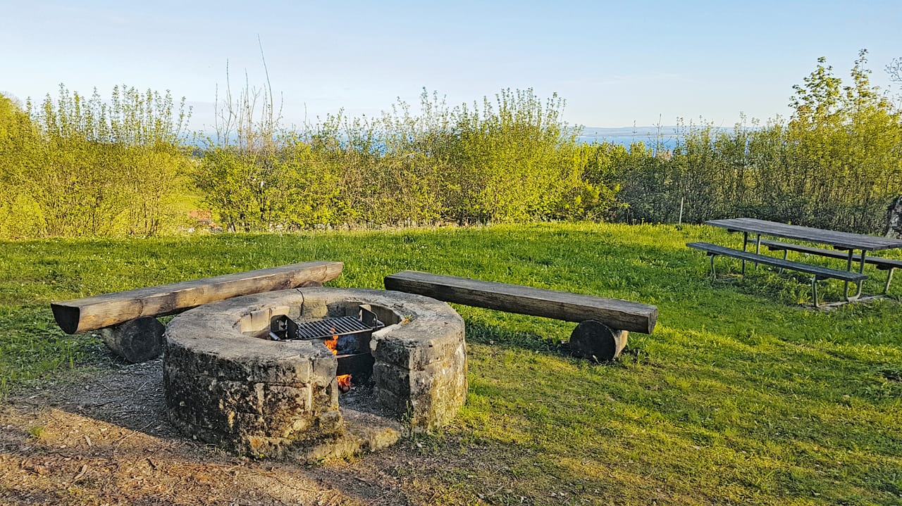 Grill