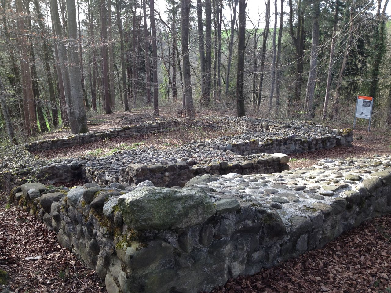 Ruins of Schleifenrain
