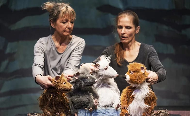 Die Muskeltiere – Einer für alle, alle für einen!