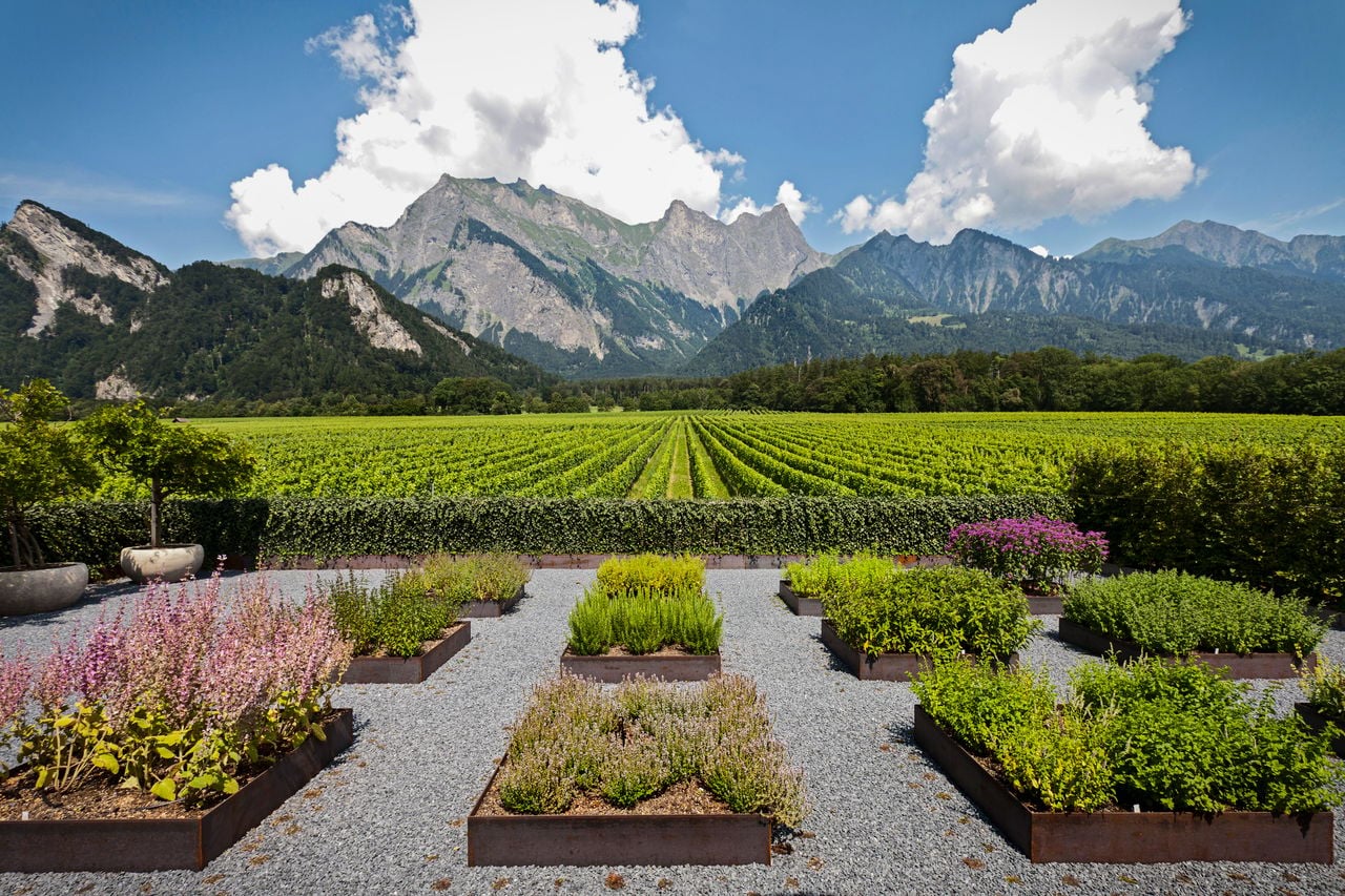 Weingut Davaz