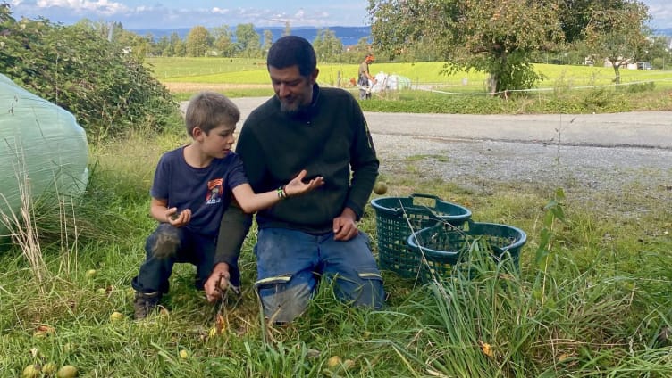 Feldhof in Scherzingen - where do vegetables and fruit grow?