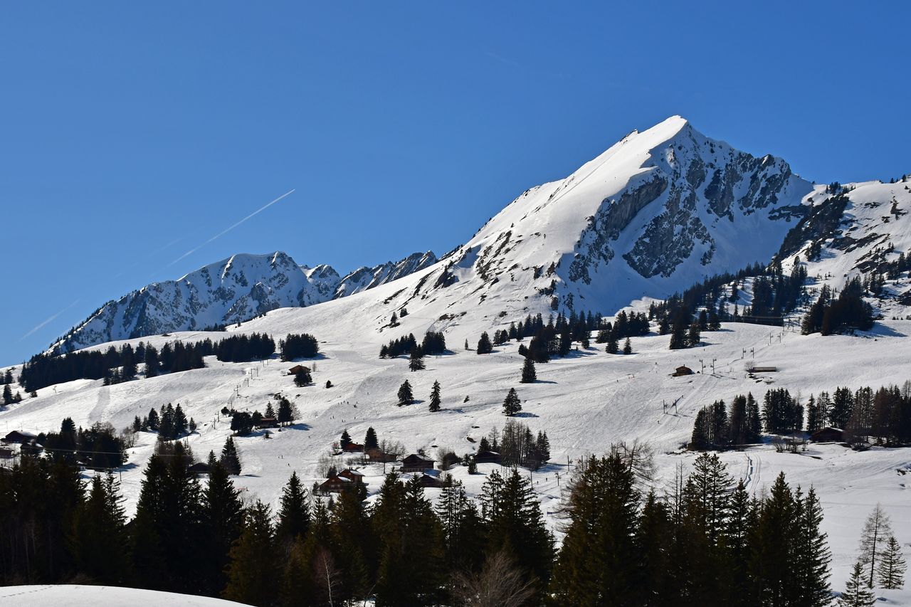 Les Mosses
