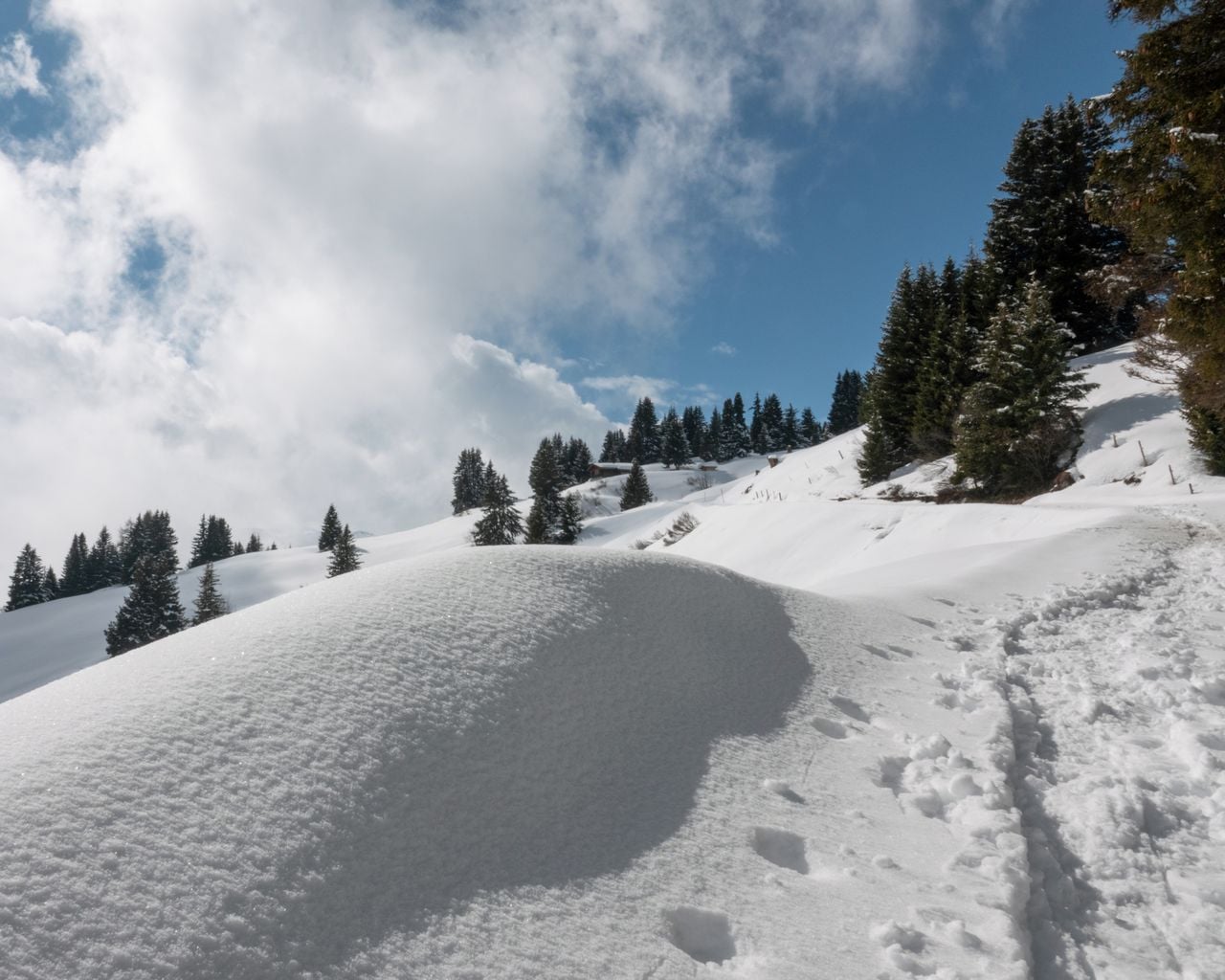 Libi-Winterwanderweg