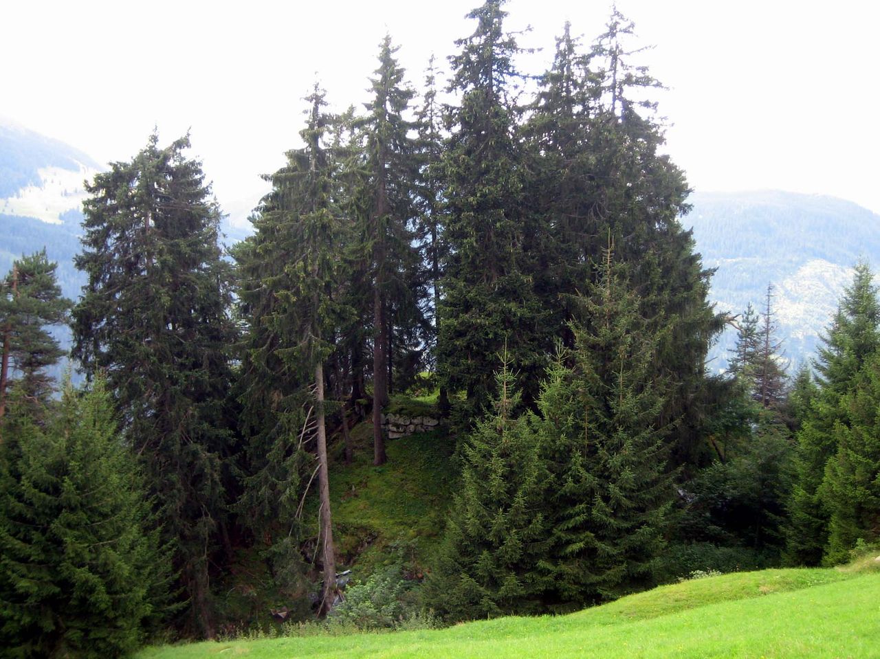 Casti da Salons