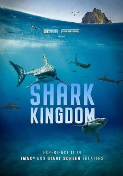 In the realm of sharks – 3D