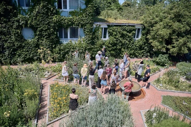 Guided tour: Ceres production – From medicinal plant to holistic remedy