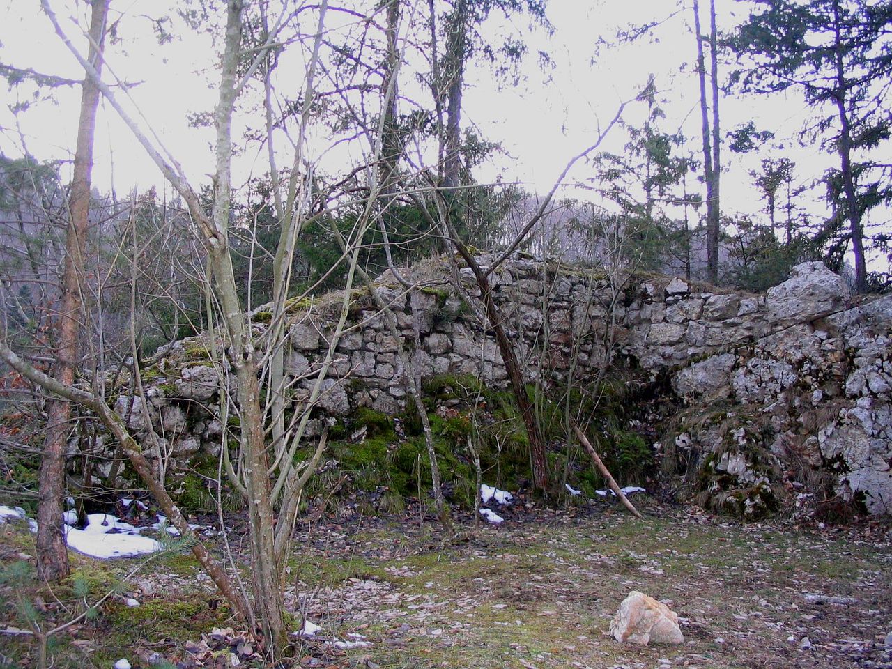 Ruine Gutenfels