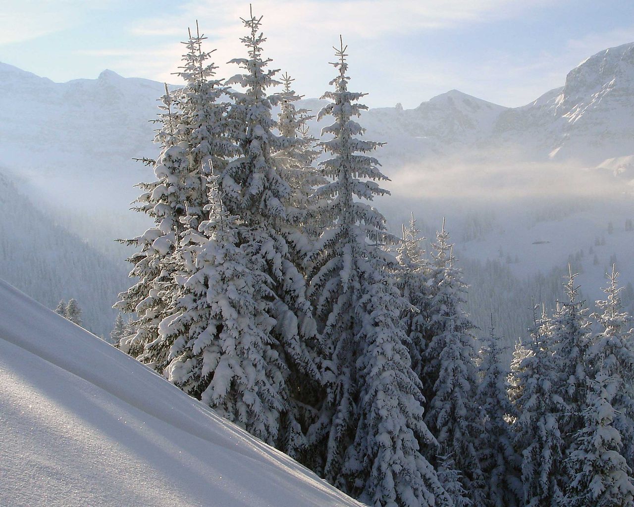 Grimmialp Trail