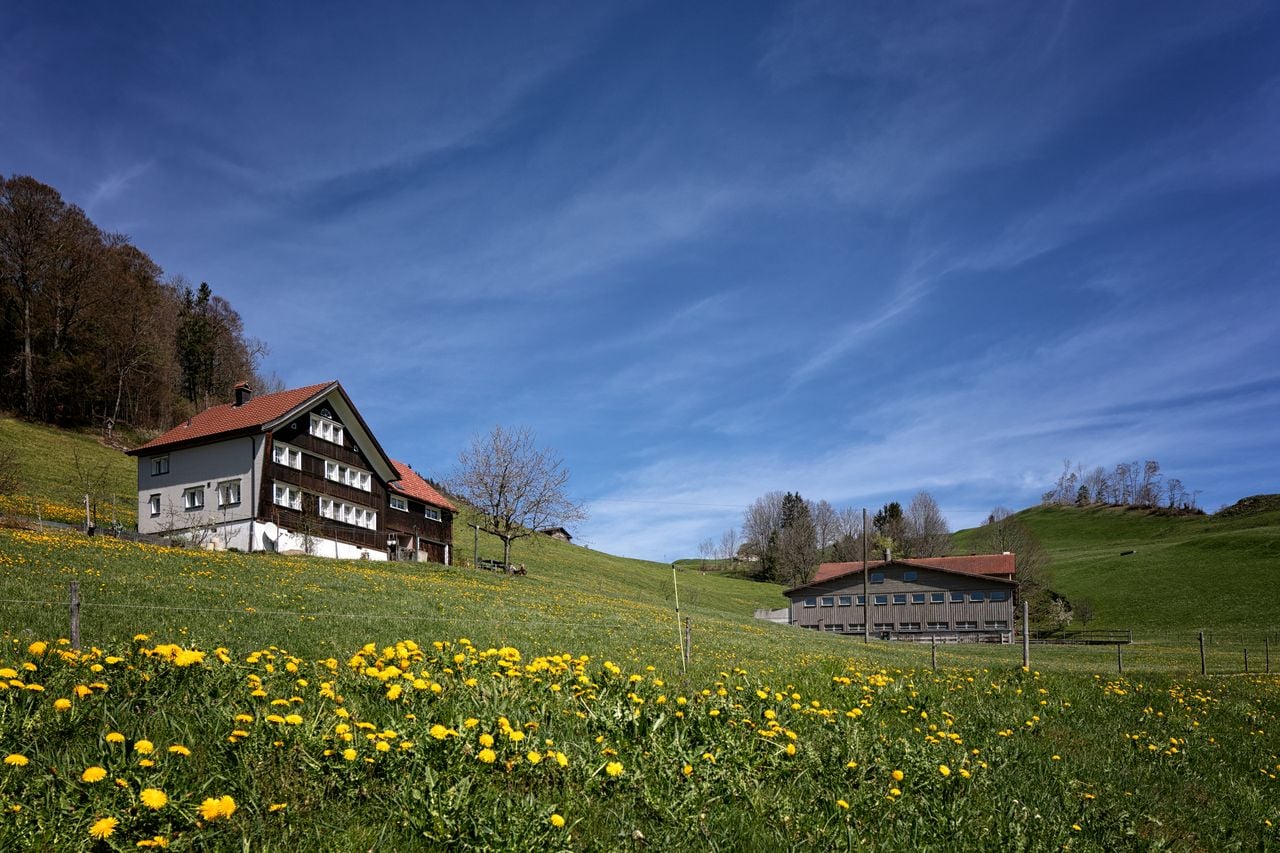 Erna's| hausgemachte| Eierteigwaren,| Schlatt