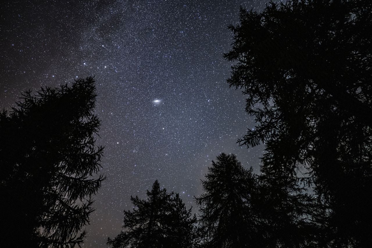 Guided Night Walk: “Water and Darkness”