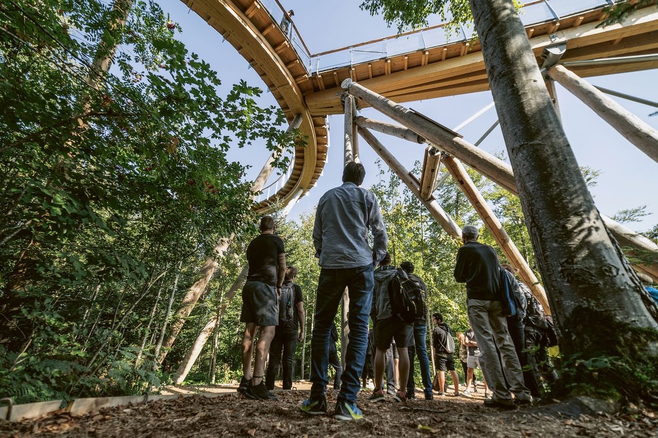 Public guided tour on the Neckertal treetop trail