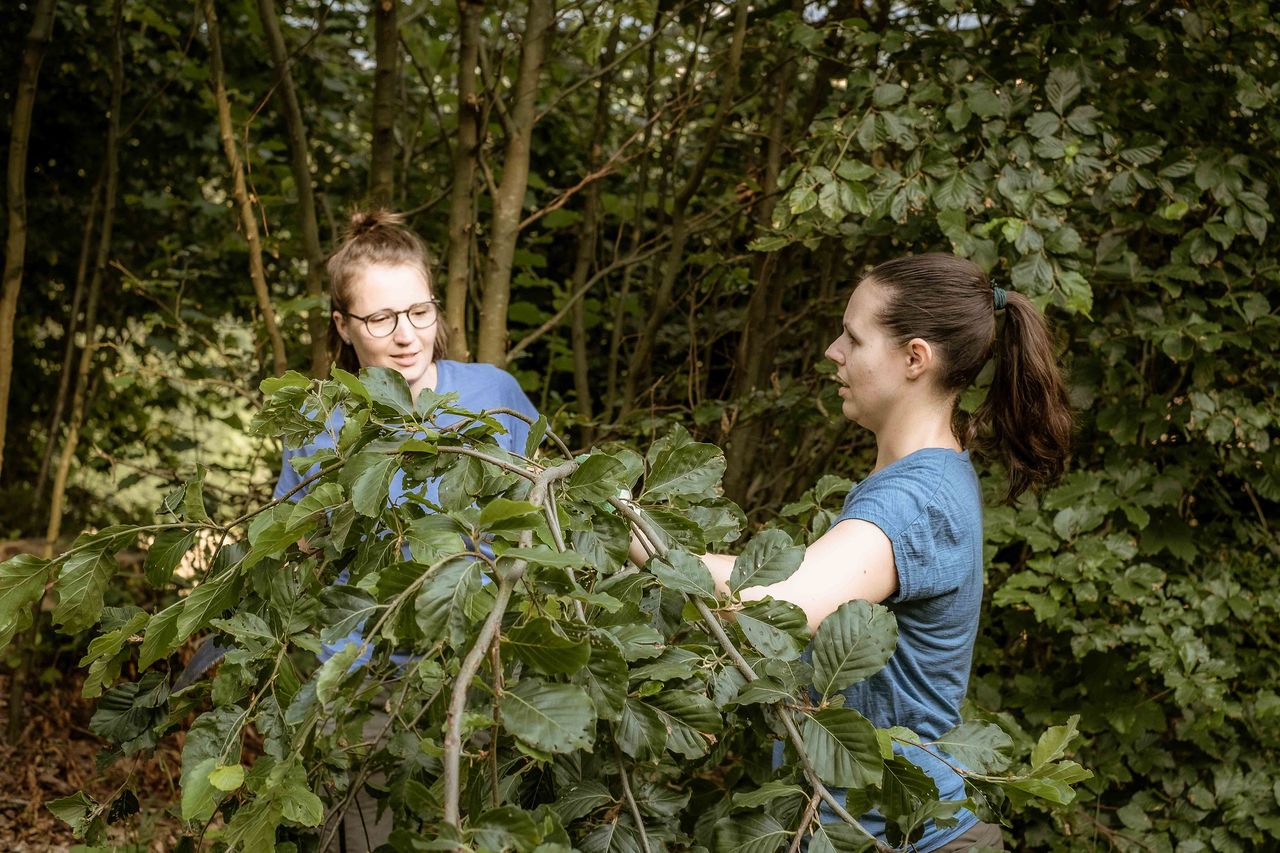 Autumn gardening course in Wattenwil
