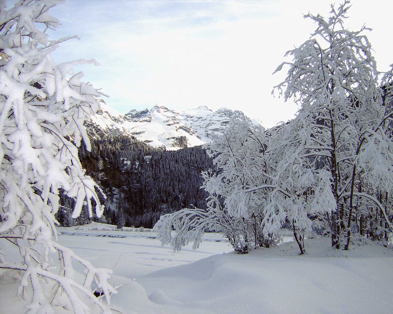 Kiental Trail