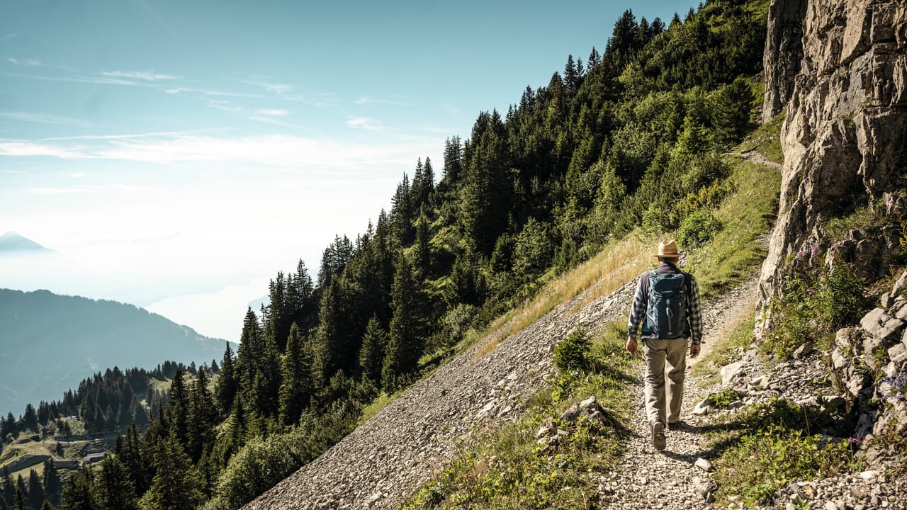 Panoramaweg Schynige Platte