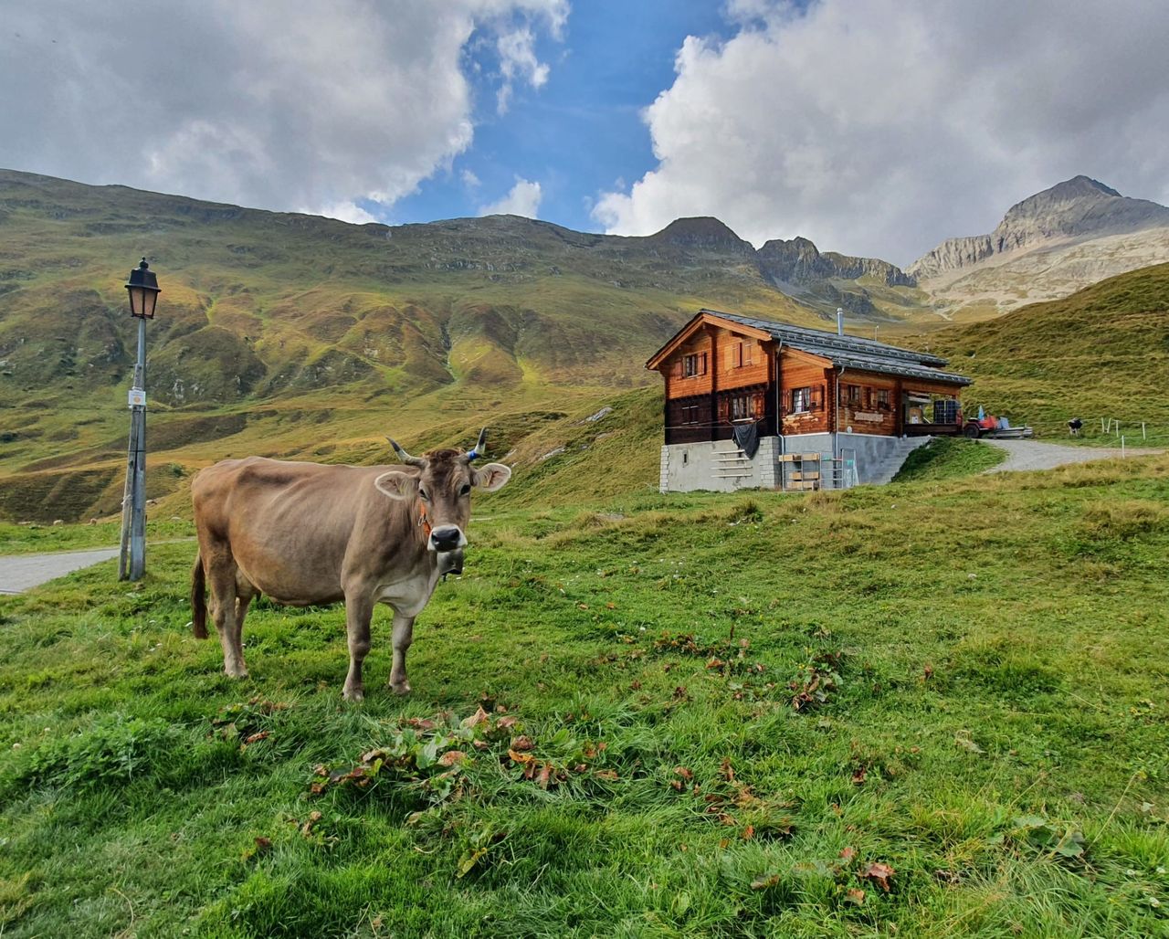 ALPE BEL