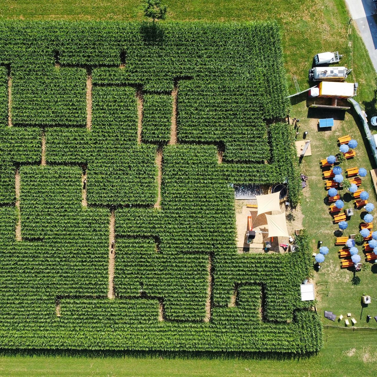 mini Schwiz Maislabyrinth