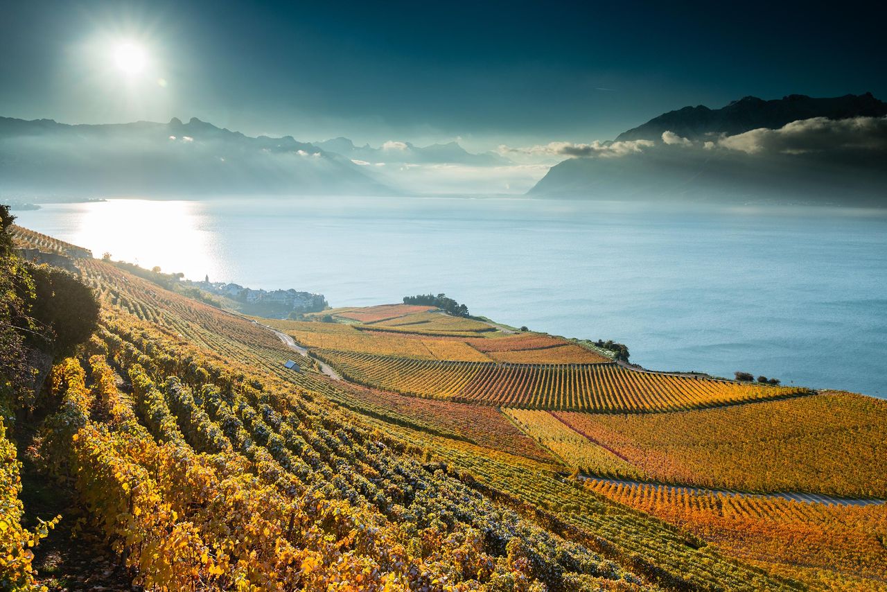 Terrasses de Lavaux