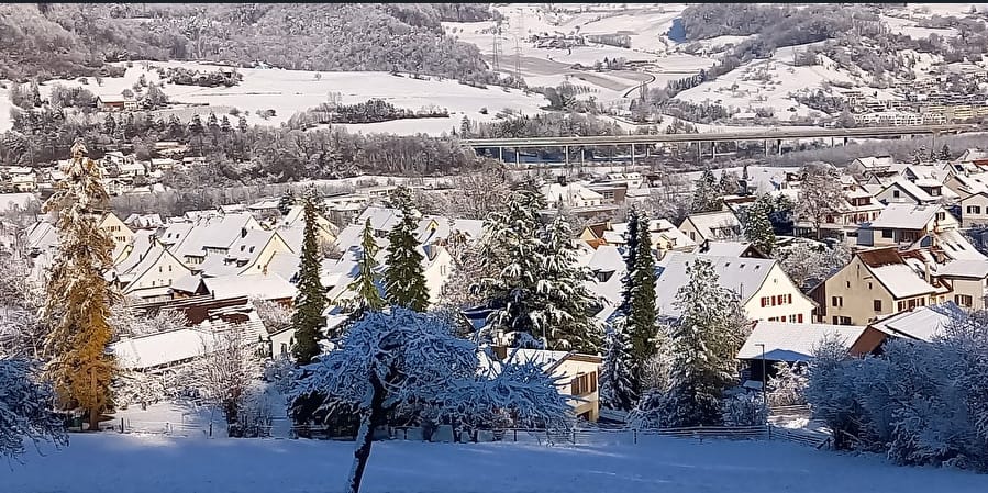 A village blooms - 800 Johr Ütige