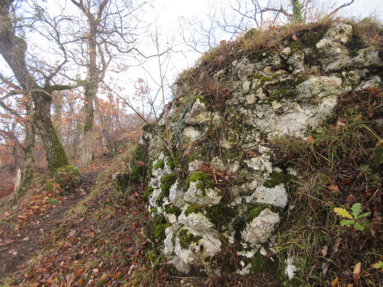 Ruine Mittlere Birseck