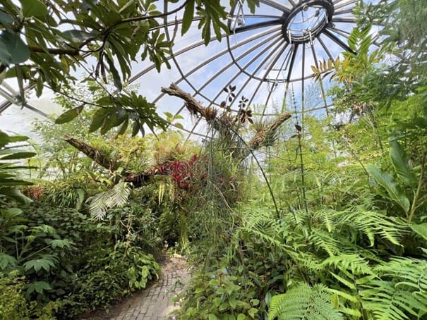 TCS Botanischer Garten