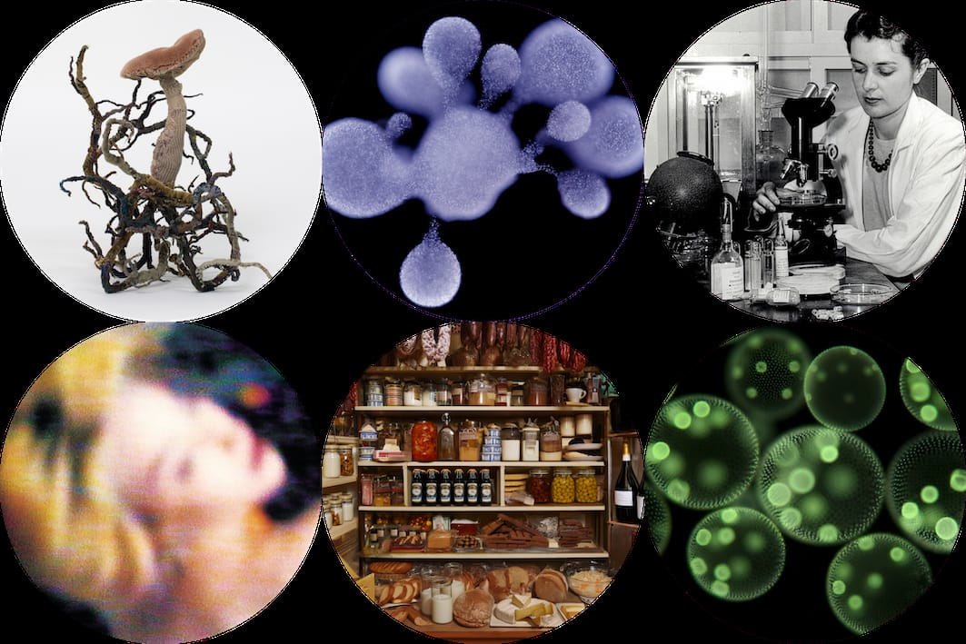 Tiny Giants. The Power of Microorganisms