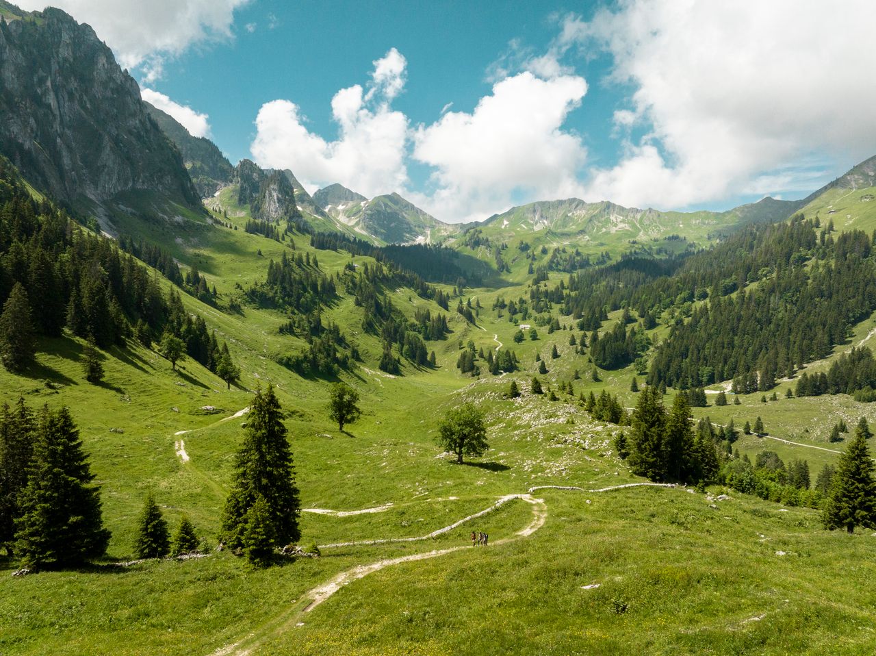 Alpine Panorama Trail