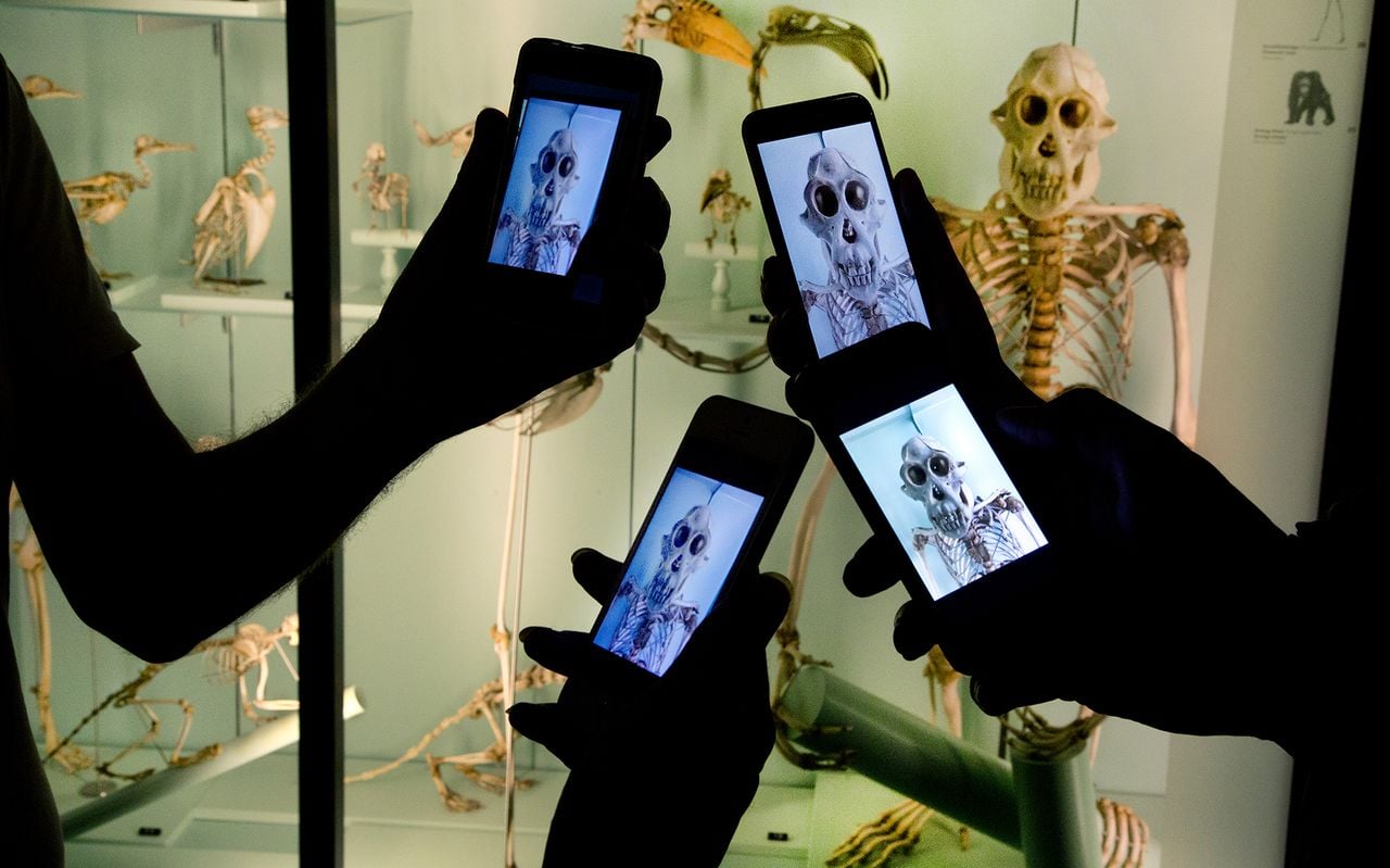 Expedition Fieberwahn – A mobile game through the museum