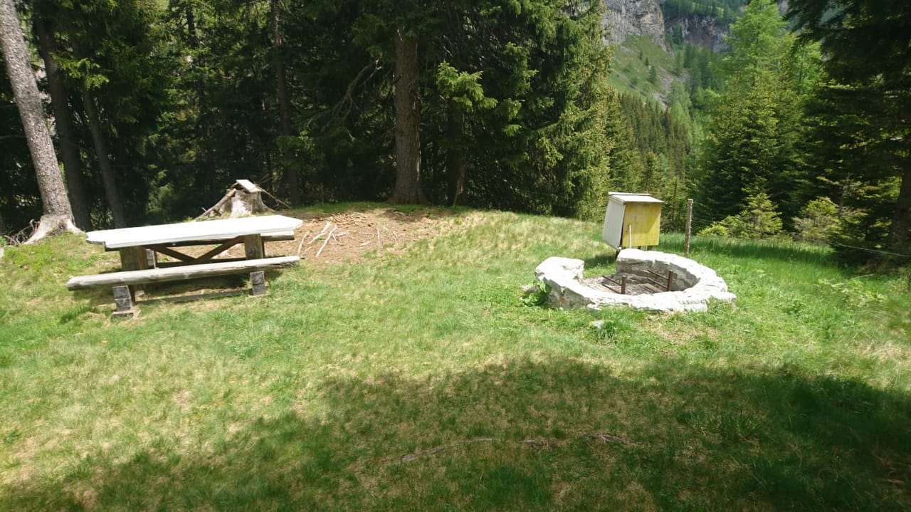 Parrillas