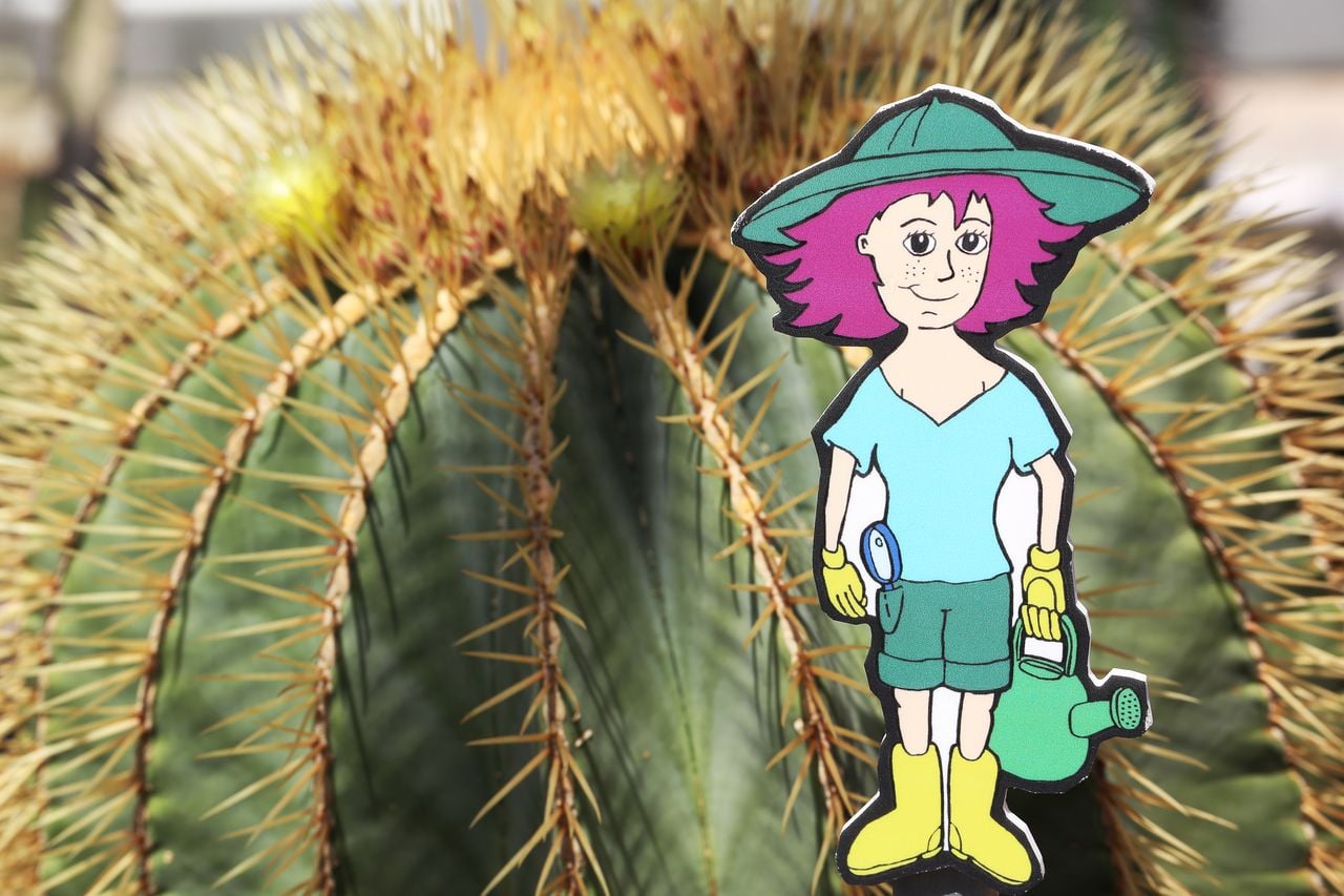 Cactus Safari with Sara Dorn