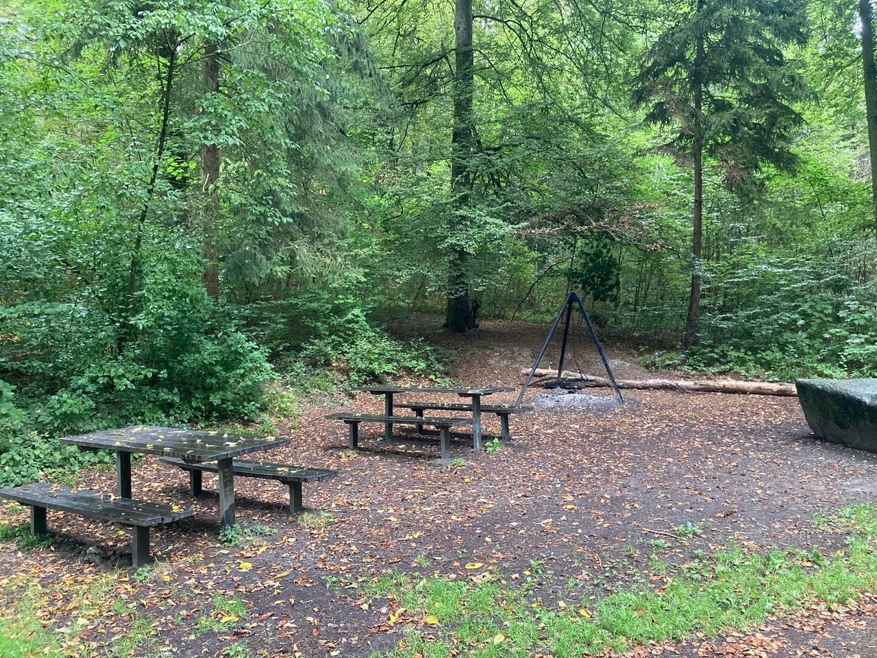 Geissberg barbecue area