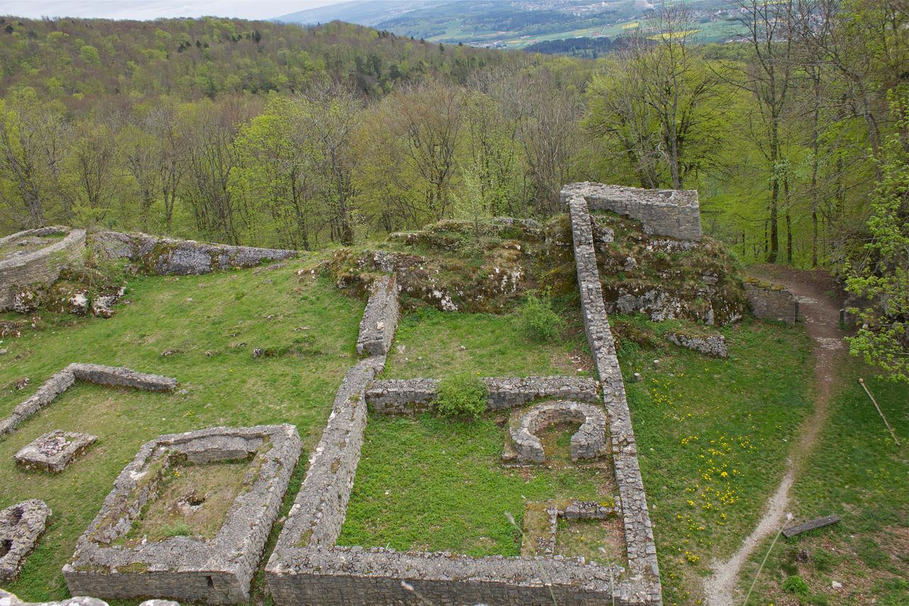 Ruine Froburg