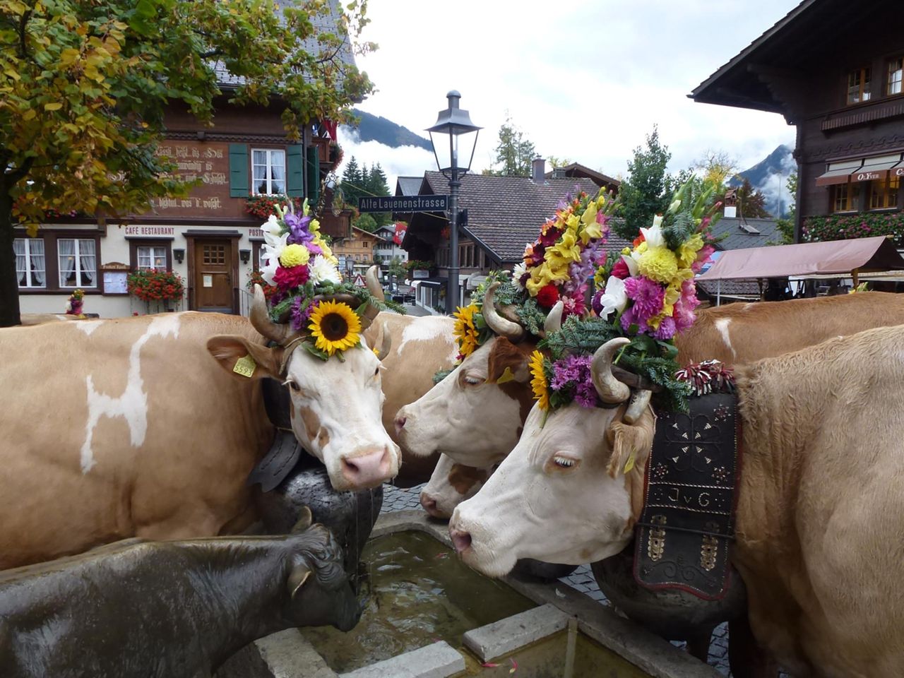 Gstaad Züglete