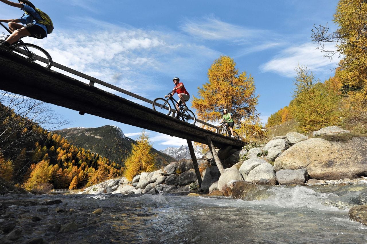 Alpine Bike