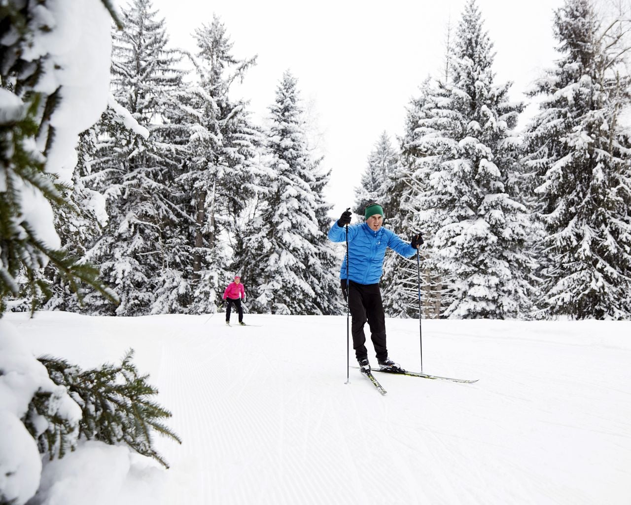 Pistes de ski de fond