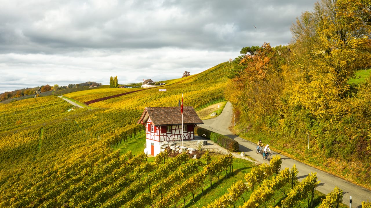 Ostschweizer Wein-Route, Stage 1/2