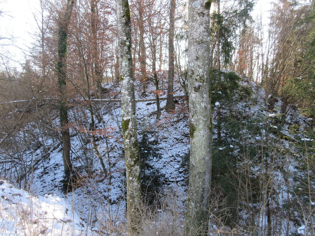 Les Vernex I (Châtillon)