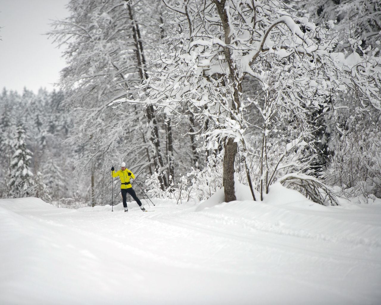 Piste l’NRGique